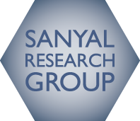 Sanyal Research Group