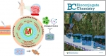 Metal-Free Click Hydrogels