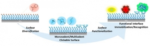 Click Chemistry Interface 2022