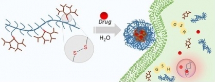 Redox-responsive Dendronized Polymer