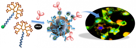 DrugDelivery BMSci2020
