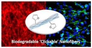 FuranBiodegradbeFibers