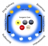 Molecular Imprinted Polymers