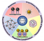 Nanoparticle Self-Assembly