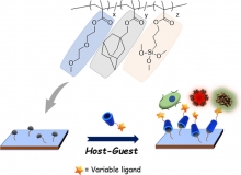 Plug and Play Biointerfaces